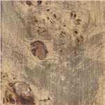 Burl