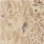 Burl