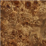 Burl