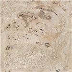 Burl