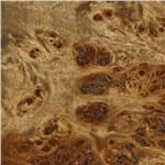 Burl