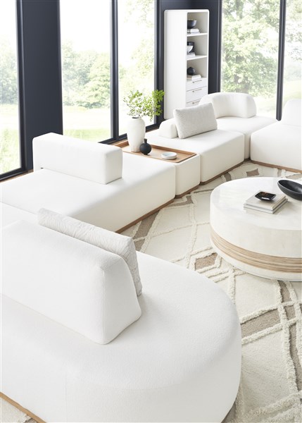 NEST_T1V165-RFP_T1V165-WB_T1V165-RB_T1V165-SB_T1V165-CFP_T1V165-FA