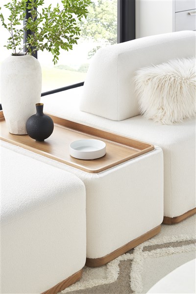 NEST_T1V165-WB_T1V165-RFP