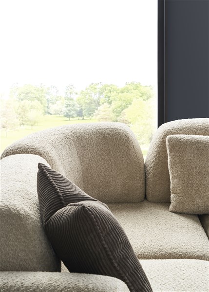 NEST_T2V165-CFP_T2V165-SB_T2V165-RFP