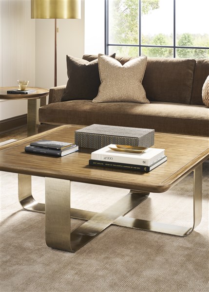 VG_P818E_V356-1S_P818CS