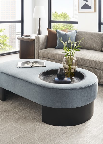 VG_V866-1ES_W905T-OT_L101L